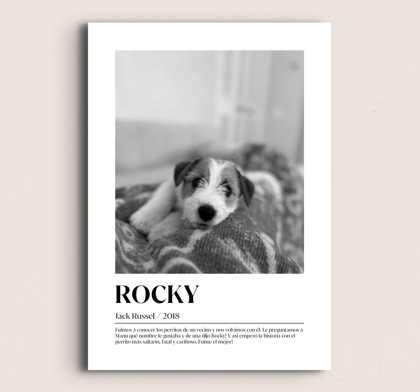 MOCKUP-SIN-MARCO-42x60