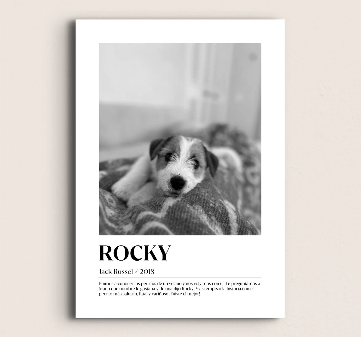MOCKUP-SIN-MARCO-42x60