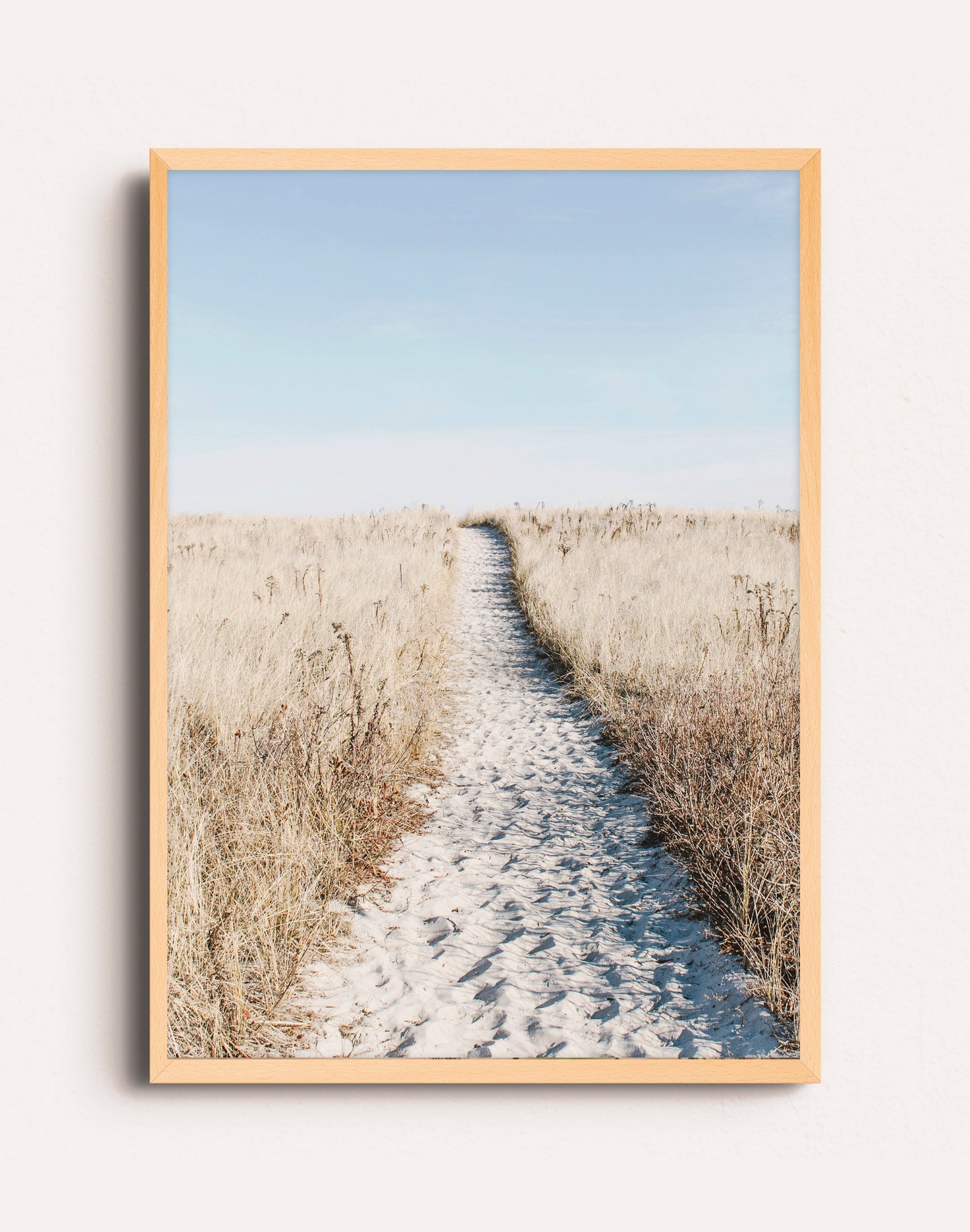 CAMINO