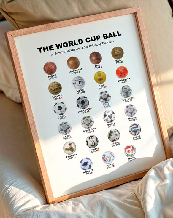 THE WORLD CUP BALL