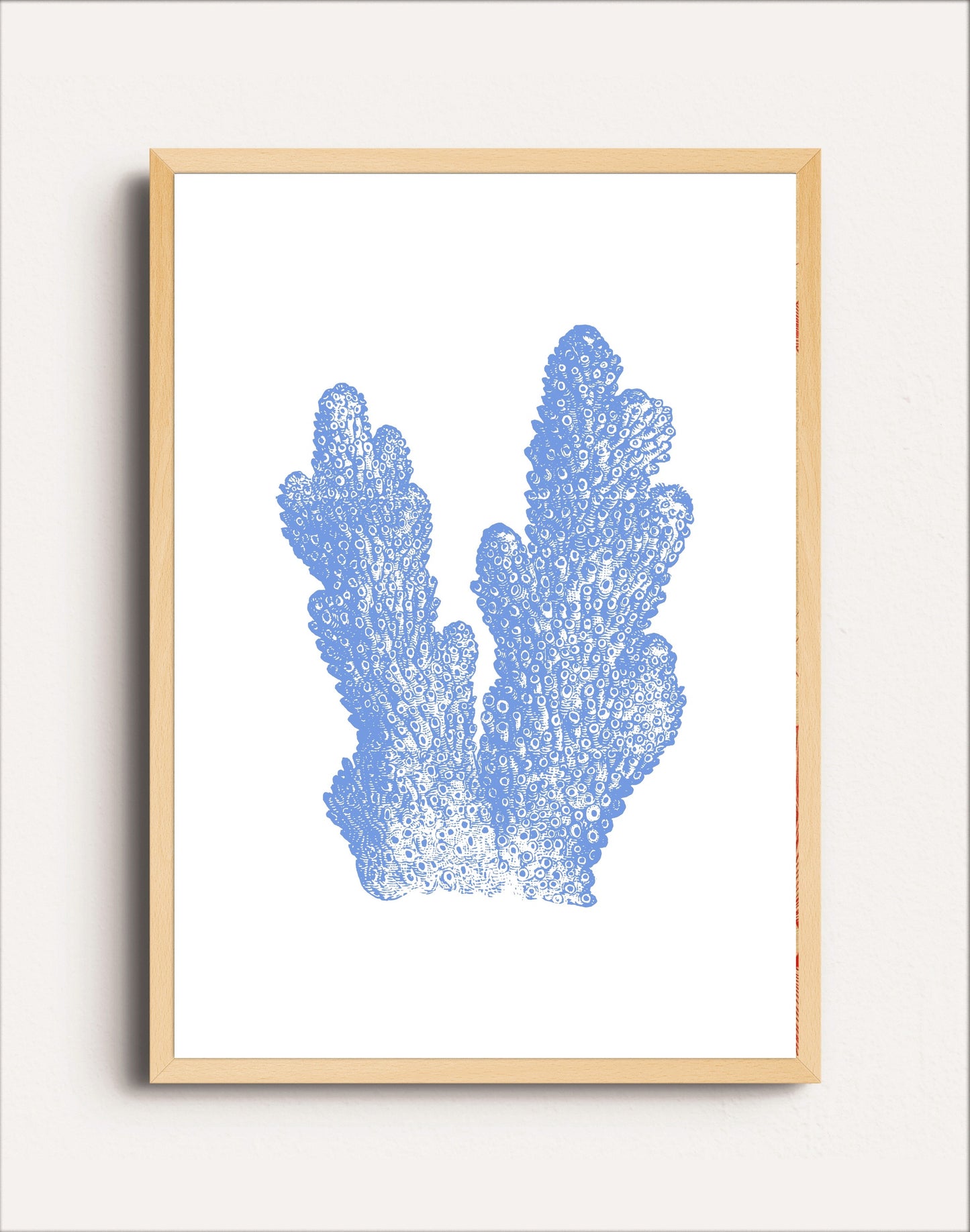 CORAL BLUE I