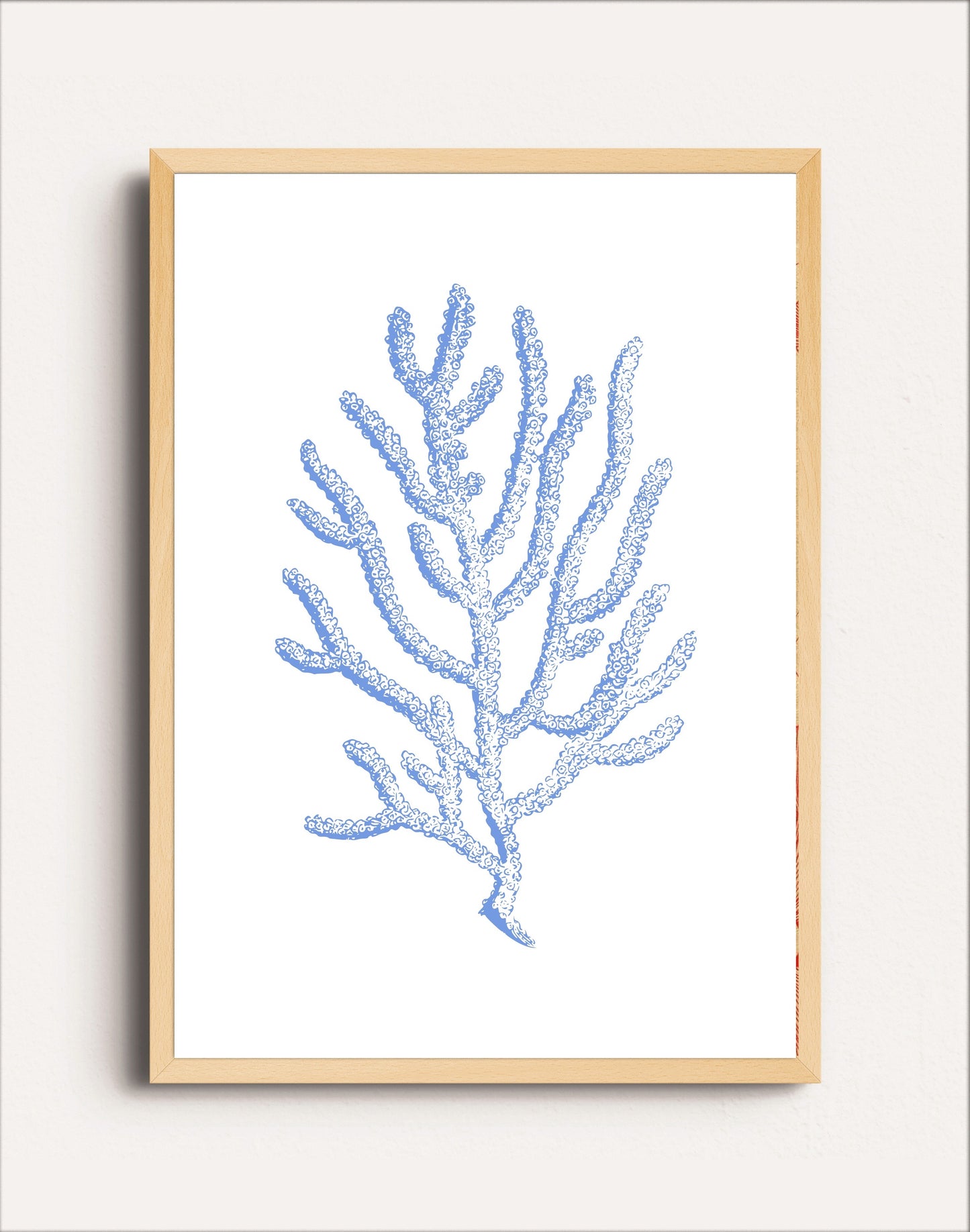 CORAL BLUE II