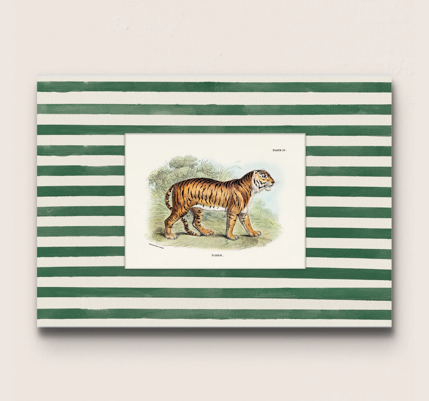 POSTER DE ANIMAL