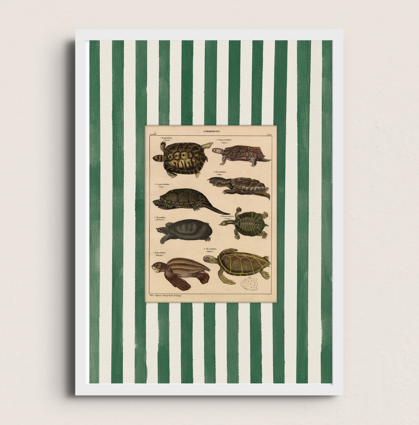 POSTER DE ANIMAL