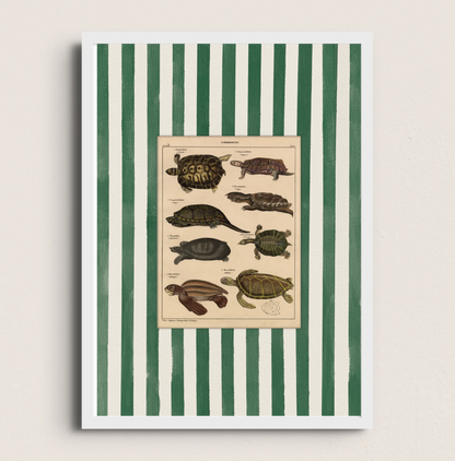 POSTER DE ANIMAL