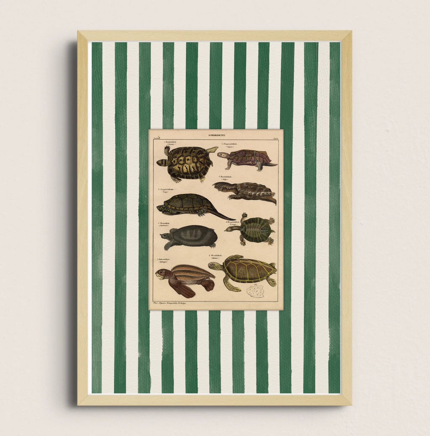 POSTER DE ANIMAL