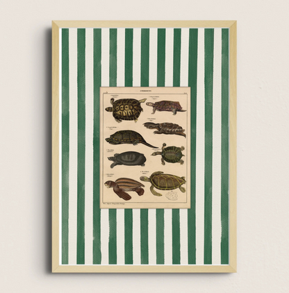 POSTER DE ANIMAL