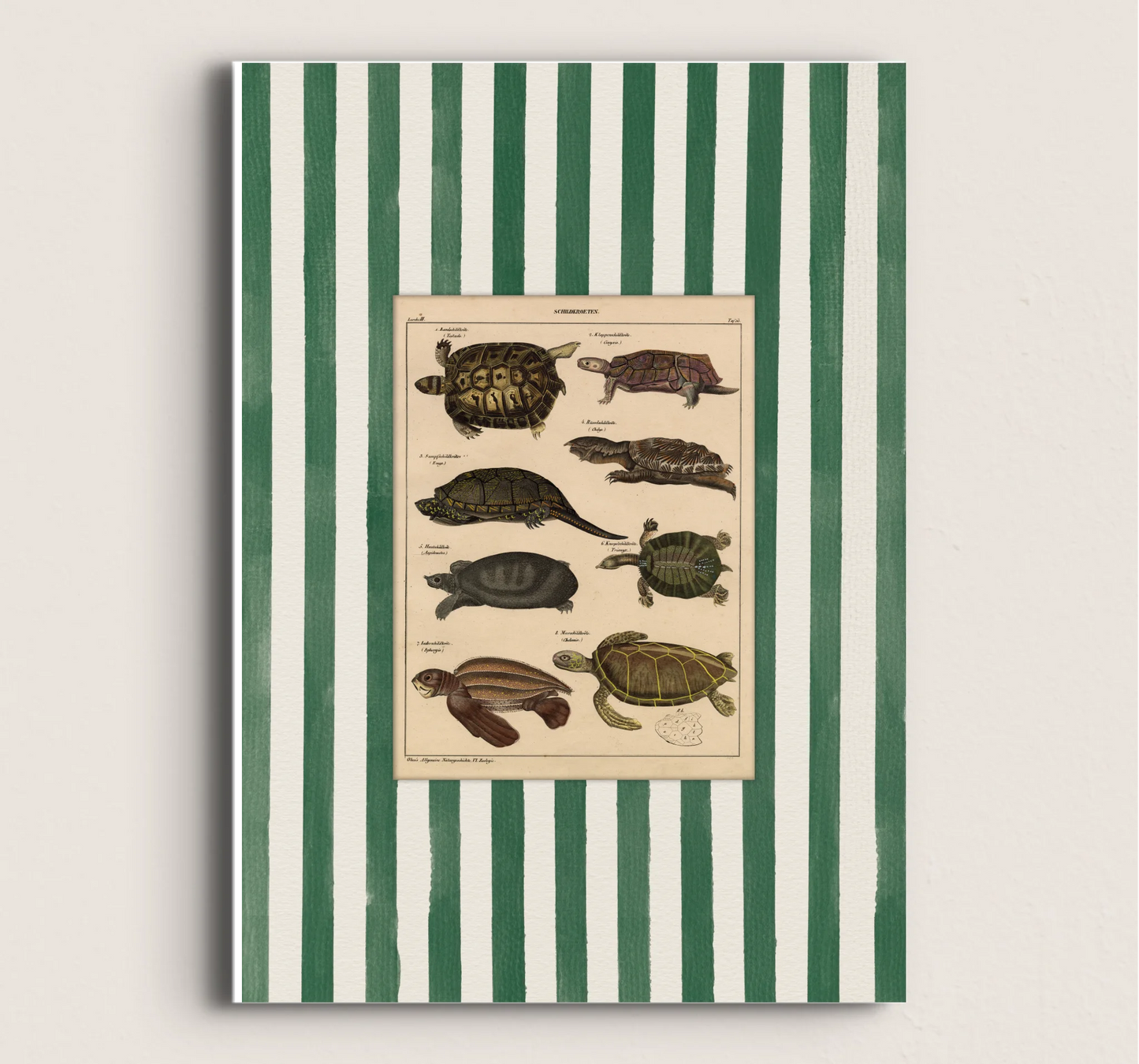 POSTER DE ANIMAL