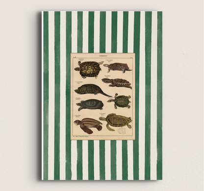 POSTER DE ANIMAL