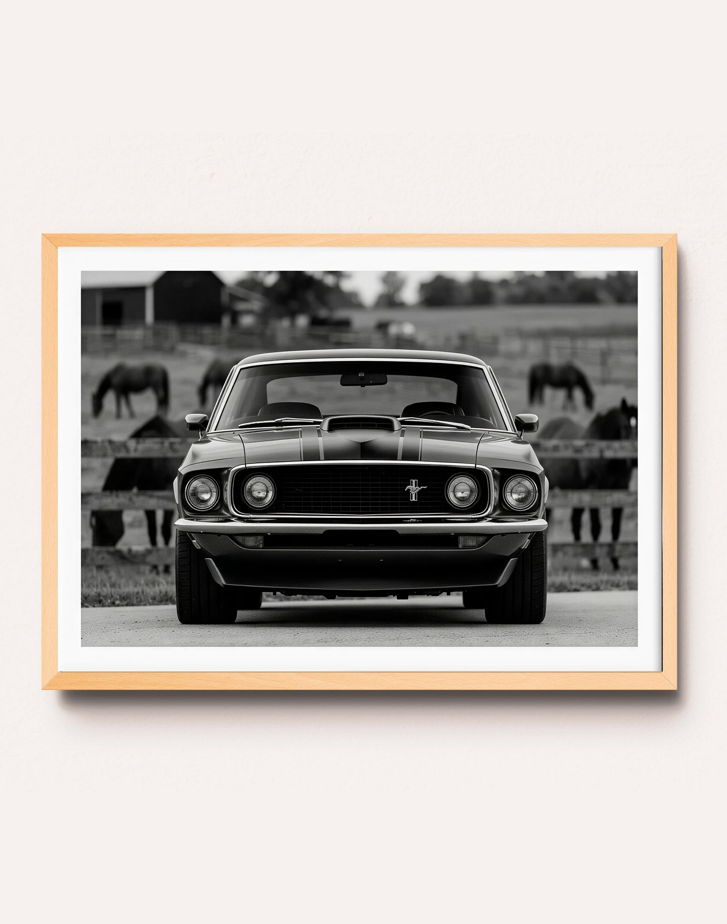 B&W CAR I