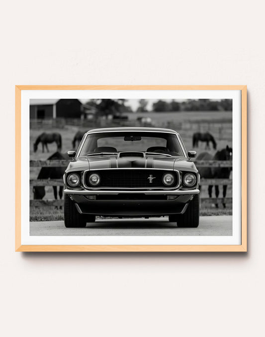 B&W CAR I