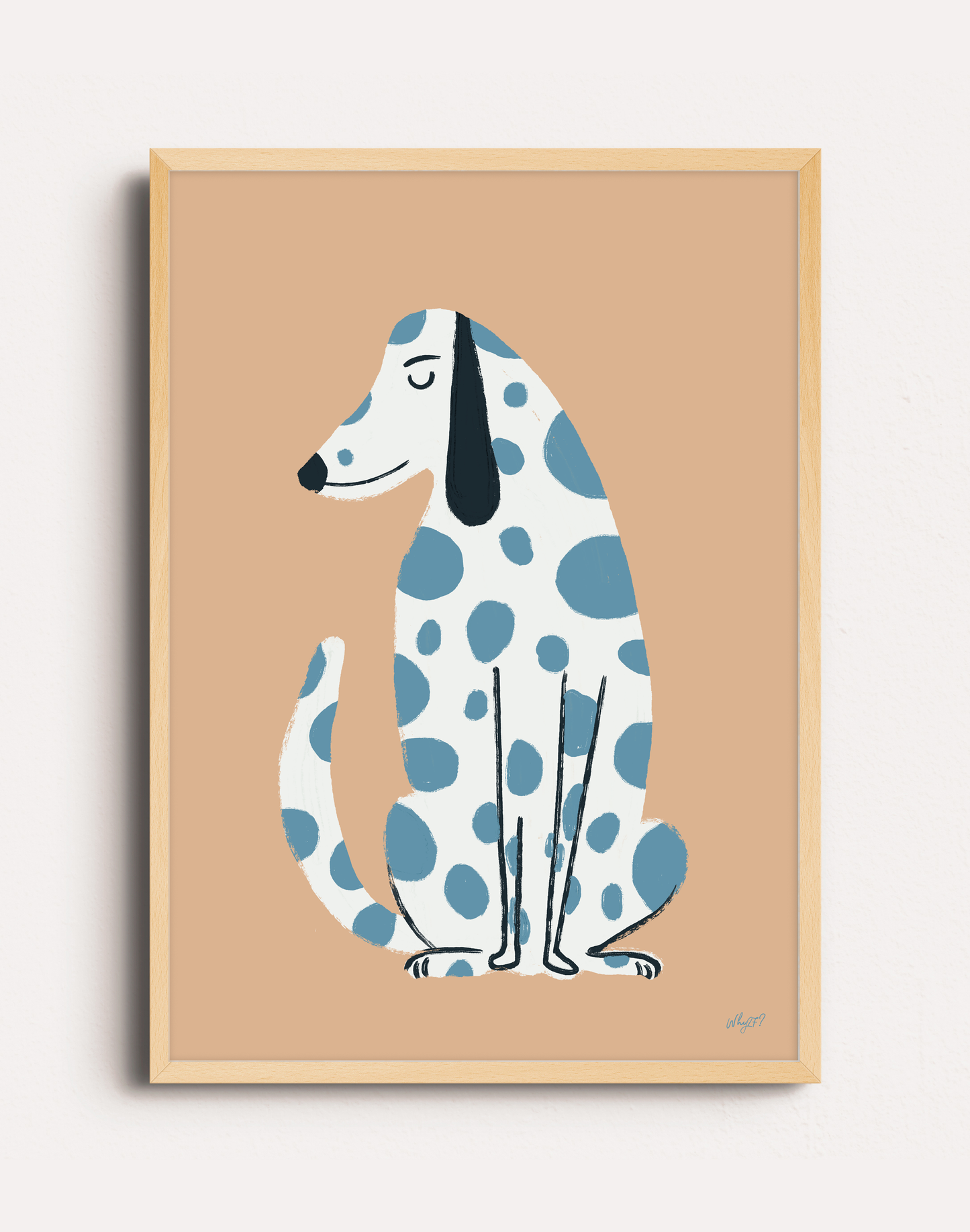 DALMATA CELESTE