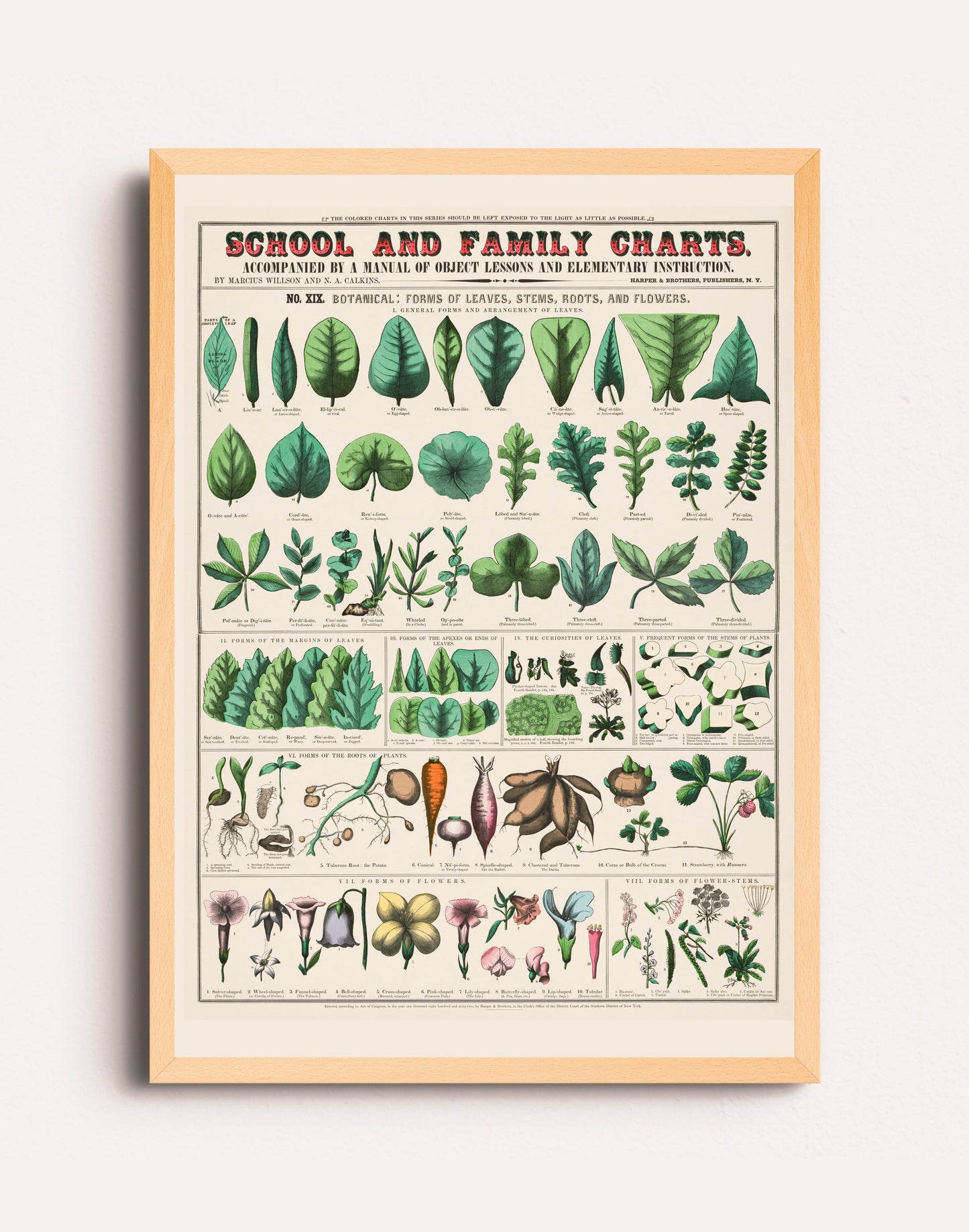 SCHOOL AND FAMILY CHART