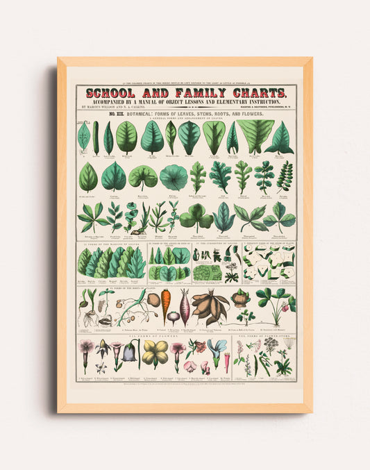 SCHOOL AND FAMILY CHART