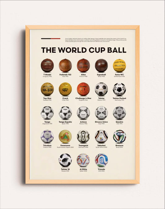 THE WORLD CUP BALL