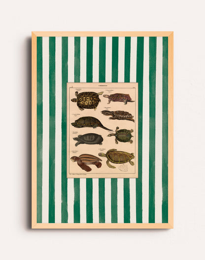 VINTAGE VERDE