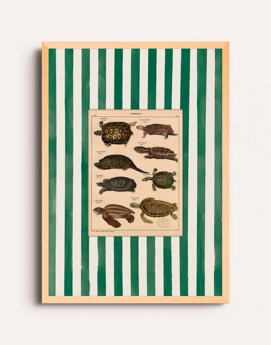 VINTAGE VERDE