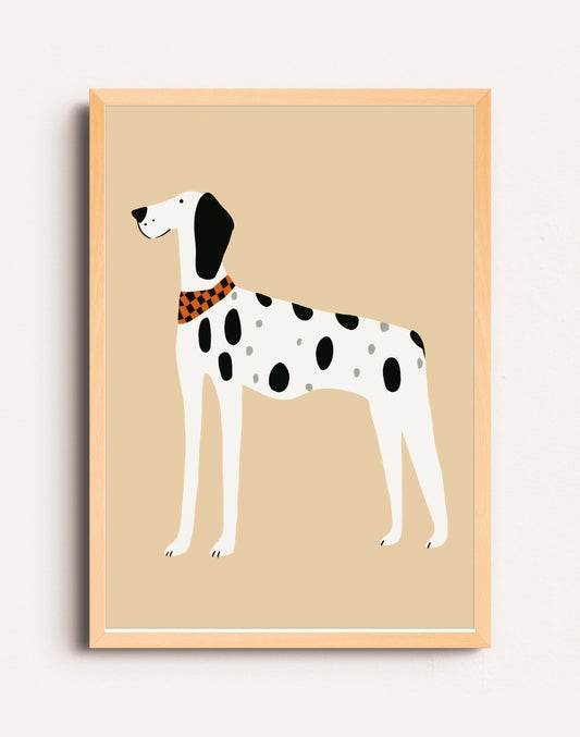 DALMATA