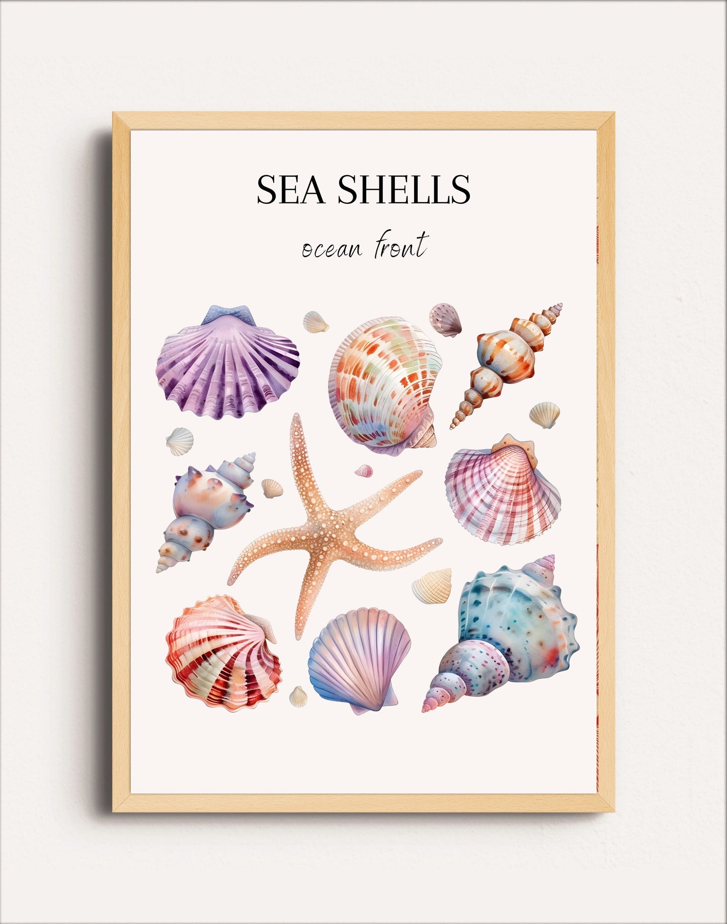 SEA SHELLS