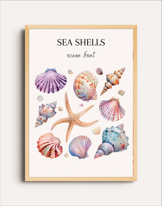SEA SHELLS