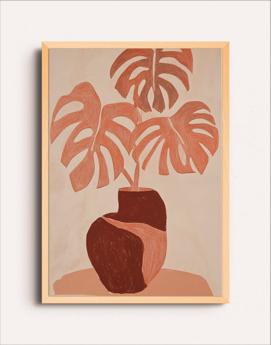 PLANTA ROSA
